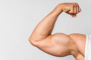 massa muscolare